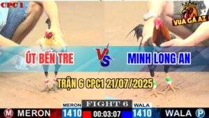 Trận 6 CPC1 21/7/2025 - Gà Điều Má Minh Đâm Chuối Nhập Đứng Không Nổi