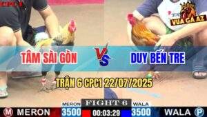 Trận 6 CPC1 22/7/2025 - Gà Chuối Anh Tâm Sài Gòn Đâm Thủng Tim Gà Vàng