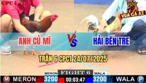 Trận 6 CPC1 24/7/2025 - Gà Điều Anh Củ Mì Mai Độ Đá Camelo Lật Xe