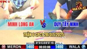 Trận 6 CPC1 28/7/2025 - Anh Minh Long An Và Anh Duy Tây Ninh