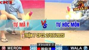 Trận 7 CPC2 2/7/2025 - Anh Tư Mã Ý Đụng Anh Tư Hóc Môn