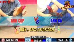 Trận 7 CPC2 23/7/2025 - Que Anh Ba Đá Điều Anh Cọp Chạy Về Với Ông Bà