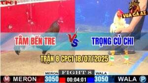Trận 8 CPC1 19/7/2025 - Điều Anh Tâm Đâm Bướm Anh Trọng Đứng Hết Nổi