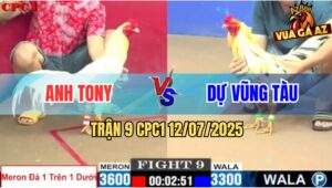 Trận 9 CPC1 12/7/2025 - Bướm Anh Dự Nhỏ Ký Đá Bự Không Kịp Thở OXY