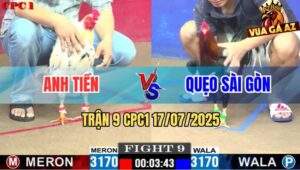 Trận 9 CPC1 17/7/2025 - Bướm Anh Tiền Có Chân Phản Lật Kèo Ngoạn Mục