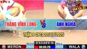 Trận 9 CPC1 22/7/2025 - Bướm Mồng Lá Má Mồng Dâu Đá Đâu Đau Đó