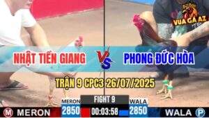 Trận 9 CPC3 26/7/2025 - Gà Bướm Bảo Sting Dỡ Giò Là Nổi Bảng Tính Tiền