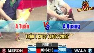 Trận 1 CPC3 14/07/2025 - Gà Anh Tuấn Ra Quân Quá Thuận Lợi