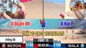 Trận 13 CPC3 15/07/2025 - Anh Duẩn Đức Hòa Vs Anh Hai