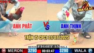 Trận 15 CPC1 31/7/2025 - Gà Điều Canh Chặn Đâm Cây Chí Mạng Hạ Đối Thủ