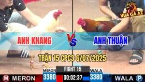 Trận 15 CPC3 6/7/2025 - Gà Anh Thuận Nhấp Nhẹ 3 Chân Hạ Đối Thủ