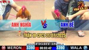 Trận 18 CPC1 31/7/2025 - Gà Anh Nghĩa Đâm Đối Thủ Ngợp Không Kịp Thở