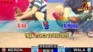 Trận 2 CPC2 13/7/2025 - Gà Anh Hùng Có Chân Cựa Quá Hiểm Hóc