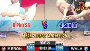 Trận 21 CPC3 14/07/2025 - Gà Anh Phú Sài Gòn Đá Đâm Như Máy Khâu