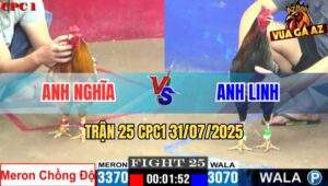 Trận 25 CPC1 31/7/2025 - Gà Anh Nghĩa Chồng Độ Thất Bại Trước Anh Linh
