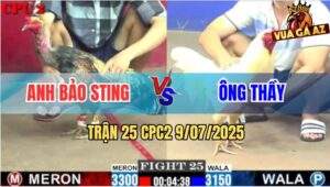 Trận 25 CPC2 9/7/2025 - Chuối Cổ Trọc Bảo Sting Bị Hạ Trong 1 Tay Nước