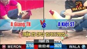 Trận 25 CPC3 15/07/2025 - Gà Cọp Anh Giang Tây Ninh