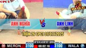 Trận 26 CPC1 31/7/2025 - Gà Anh Thinh Phản Chân Hiểm Cứu Thua Thần Sầu