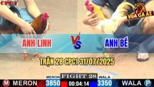 Trận 28 CPC1 31/7/2025 - Gà Khét Anh Bé Nhẹ Hơn 5 Chấm Vẫn Lụm Xổ