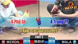 Trận 3 CPC3 14/07/2025 - Gà Anh Phú Sài Gòn Nhấc Chân Là Có Cựa
