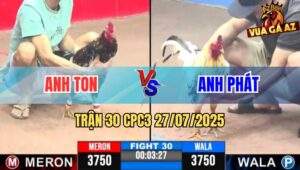 Trận 30 CPC3 27/7/2025 - Gá Úa Anh Phát Bươi Chà Tải Cựa Quá Khủng