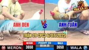 Trận 39 CPC3 6/7/2025 - Anh Đen Biện Vs Anh Tuấn