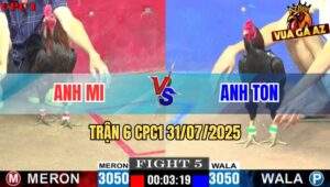 Trận 6 CPC1 31/7/2025 - Gà Que Anh Ton Bị Điều Bẻ Chân Rinh Ra Khỏi Bồ