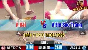 Trận 7 CPC3 14/07/2025 - Gà Khét Anh Hai Có Chân Cựa Chí Mạng