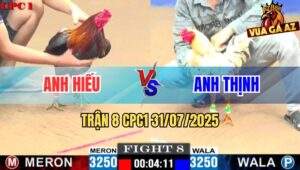 Trận 8 CPC1 31/7/2025 - Gà Điều Anh Hiếu Rút Ống Thở Gà Bướm Anh Thịnh