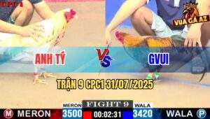 Trận 9 CPC1 31/7/2025 - Gà Khét GVUI Đá Bướm Anh Tý Rớt Nài Hết Sửa