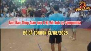 Anh Bảo Sting Giao Lưu 5 Xị Với Anh Ly Campuchia Bồ TonHon 13/8/2025