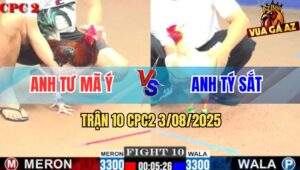 Trận 10 CPC2 3/8/2025 - Gà Úa Đâm Gà Bông Anh Tư Mã Ý Té Lên Té Xuống