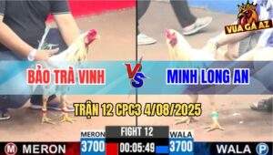 Trận 12 CPC3 4/8/2025 - Bướm Má Minh Phản Ăn 1 Đưa Biện Ra Đảo