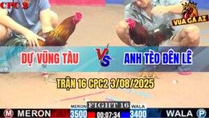 TRAN 16 CPC2 3082025