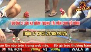 Trận 17 CPC5 21/8/2025 - Bướm Nằm 3 Lần Trọng Tài Vẫn Cho Vô Kính