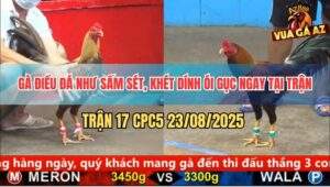 Trận 17 CPC5 23/8/2025 - Điều Đá Bo Như Sấm Sét, Khét Ói Nhâp Thổ Luôn