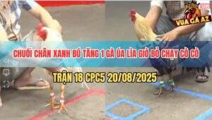 Trận 18 CPC5 20/5/2025 - Úa Dí Bạc Cho Lắm Bị Đá Lìa Giò Bỏ Chạy Lò Cò