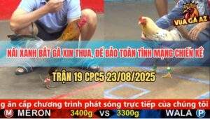 Trận 19 CPC5 23/8/2025 - Nài Xanh Chấp Nhận Thua Để Cứu Chiến Kê