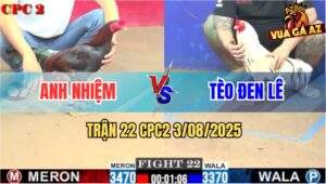 Trận 22 CPC2 3/8/2025 - Bướm Anh Tèo Đen Đâm Gà Điều Bỏ Chạy Kêu Miệng