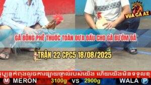 Trận 22 CPC5 18/8/2025 - Bướm Tuy Nhỏ Nhưng Đá Bự Không Trượt Phát Nào