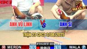 Trận 23 CPC2 3/8/2025 - Điều Anh Vũ Linh Đá Phát Nào Có Tiền Phát Đó