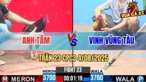 Trận 23 CPC3 4/8/2025 Anh Tâm Và Anh Vinh Vũng Tàu