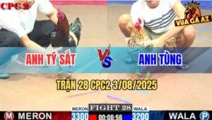 Trận 28 CPC2 3/8/2025 - Que Nhảy Qua Lại Gà Khét Anh Tùng Chạy Mất Dép