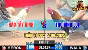Trận 31 CPC3 5/8/2025 - Anh Hào Tây Ninh Và Anh Thọ Binh Lợi