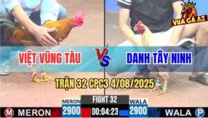 Trận 32 CPC3 4/8/2025 - Vừa Chớp Mắt Gà Khét Đâm Bướm Nổi Bảng