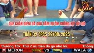 Trận 32 CPC5 22/8/2025 - Gà Que Chân Điểm Đâm Như Máy Chém
