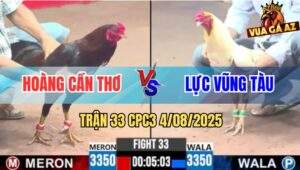 Trận 33 CPC3 4/8/2025 - Anh Hoàng Cần Thơ Và Anh Lực Vũng Tàu