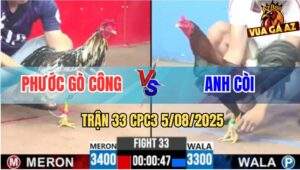 Trận 33 CPC3 5/8/2025 - Anh Phước Gò Công Đụng Độ Anh Còi