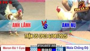 Trận 35 CPC2 6/8/2025 - Camelo Anh Lành Vũng Tàu Lên Lớp Đá 1 Cây Cựa