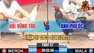 Trận 37 CPC3 4/8/2025 - Anh Hải Vũng Tàu Và Anh Phước
